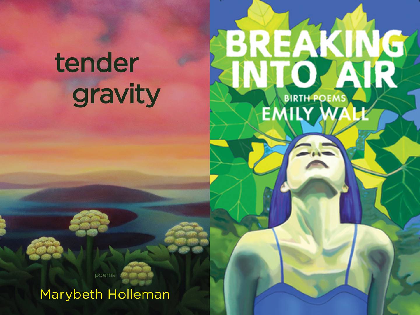 “tender gravity” by Marybeth Holleman (left) and “Breaking into Air: Birth Poems” by Emily Wall