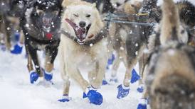 Our favorite photos from a snowy Iditarod ceremonial start