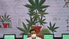 Thailand will hand out a million free cannabis plants for home cultivation