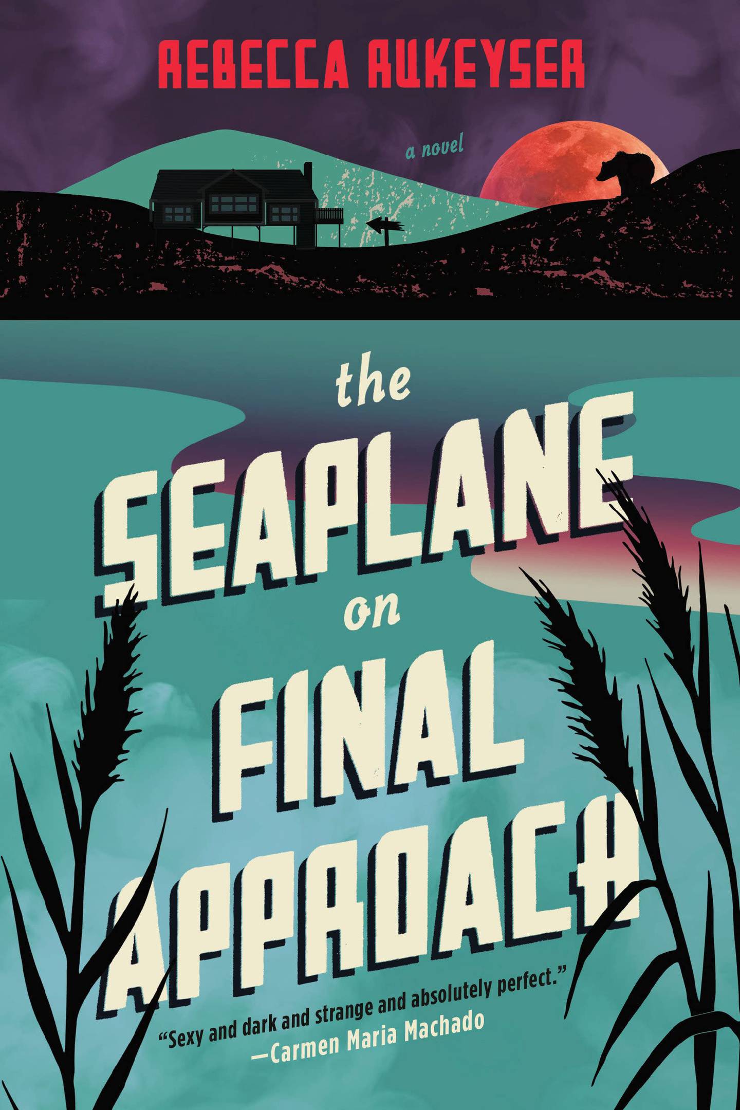 “The Seaplane on Final Approach,” by Rebecca Rukeyse