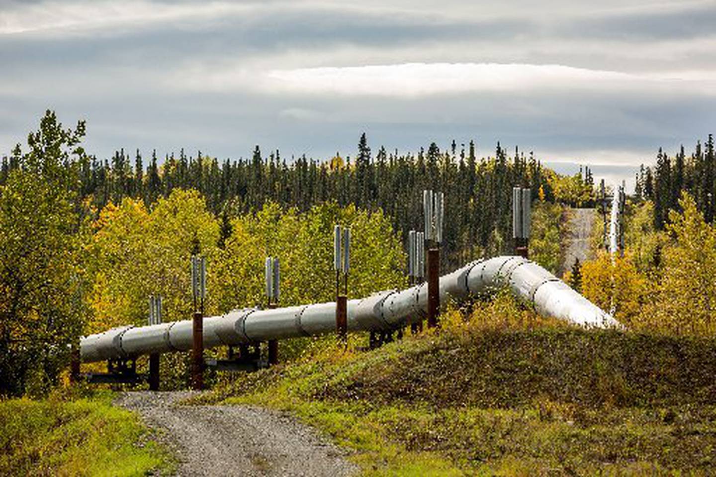 pipeline 01