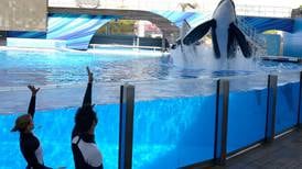 Book, film draw attention to fate of captive orcas