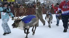 Photos: Running of the Reindeer, sled dog races, outhouse races and more Fur Rondy fun