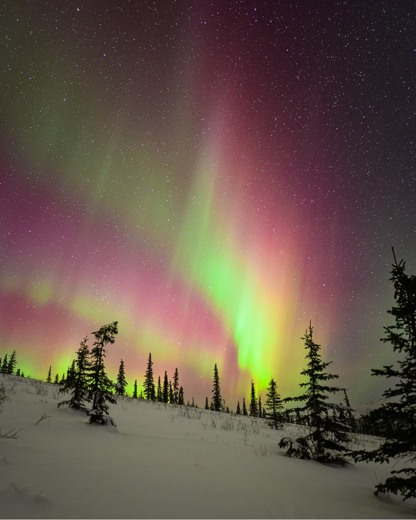 The aurora borealis, pictured near Fairbanks