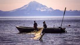 To save our kings, Cook Inlet set netting must go