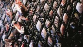 Halibut bycatch issue: A poster child for complex fisheries policy in Alaska