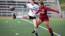 Dimond girls soccer avenges lone loss of the season in potential state preview with rival South