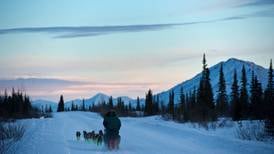 Sled dog team struck by snowmachine in Interior Alaska was from Dallas Seavey’s kennel