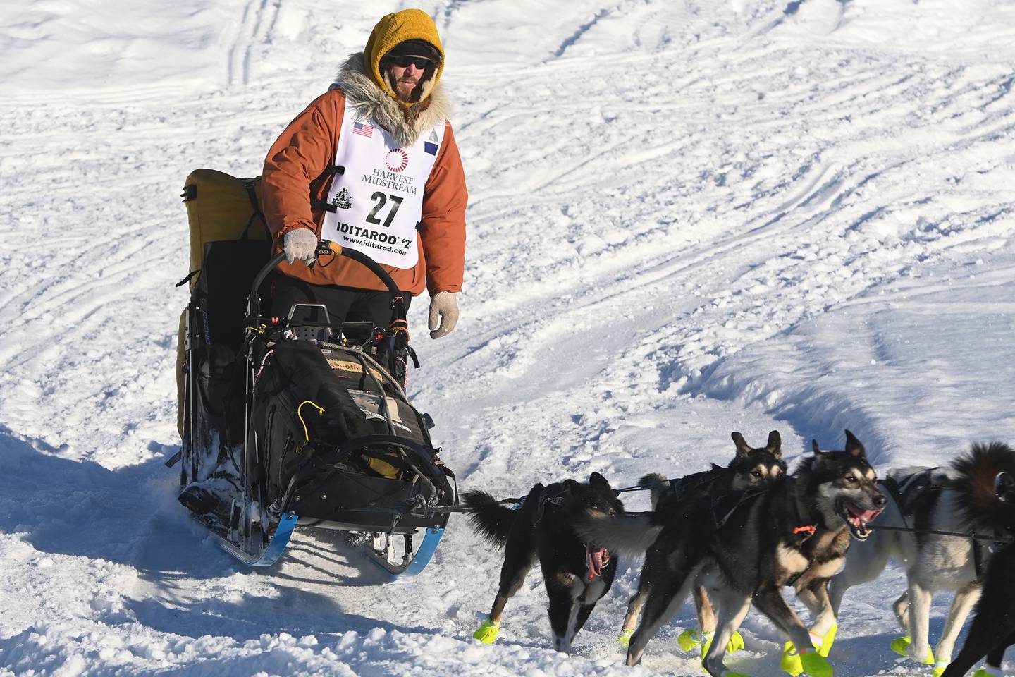 Iditarod Trail Sled Dog Race in Willow