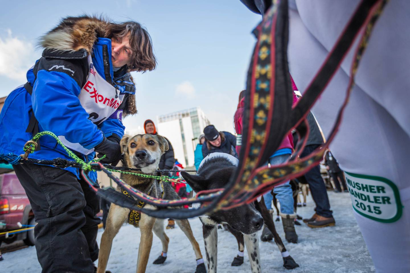 LH 2015 Iditarod Ceremonial Start 20 - 20150307.jpg-1425776204