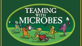 ‘Teaming With Microbes’ podcast: Wood frogs and gardens?