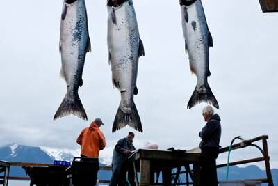 Casting call: Urban and remote Alaska are where fishing dreams come true