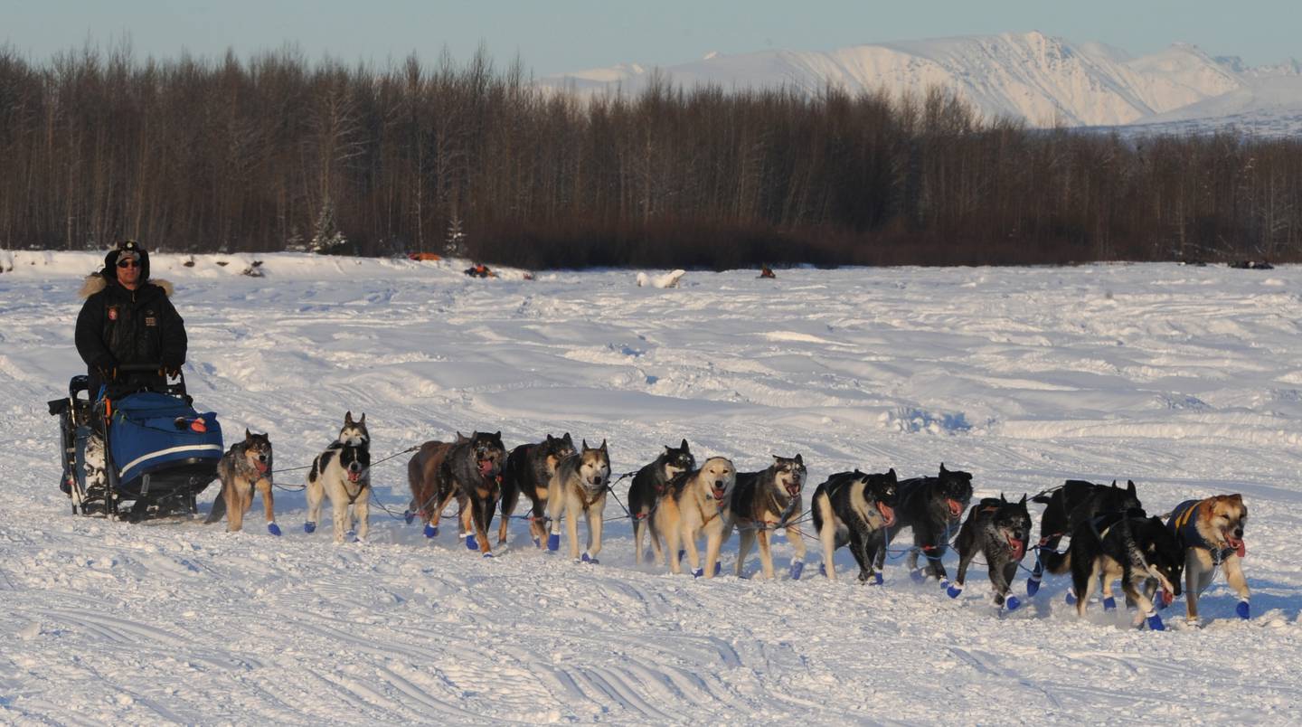 Hugh Neff Susitna River Restart of the Iditarod Trail Sled Dog Race Willow