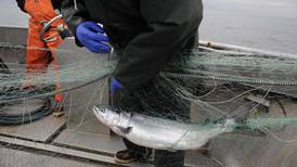 Story off base in characterization of Alaska fisheries board appointee