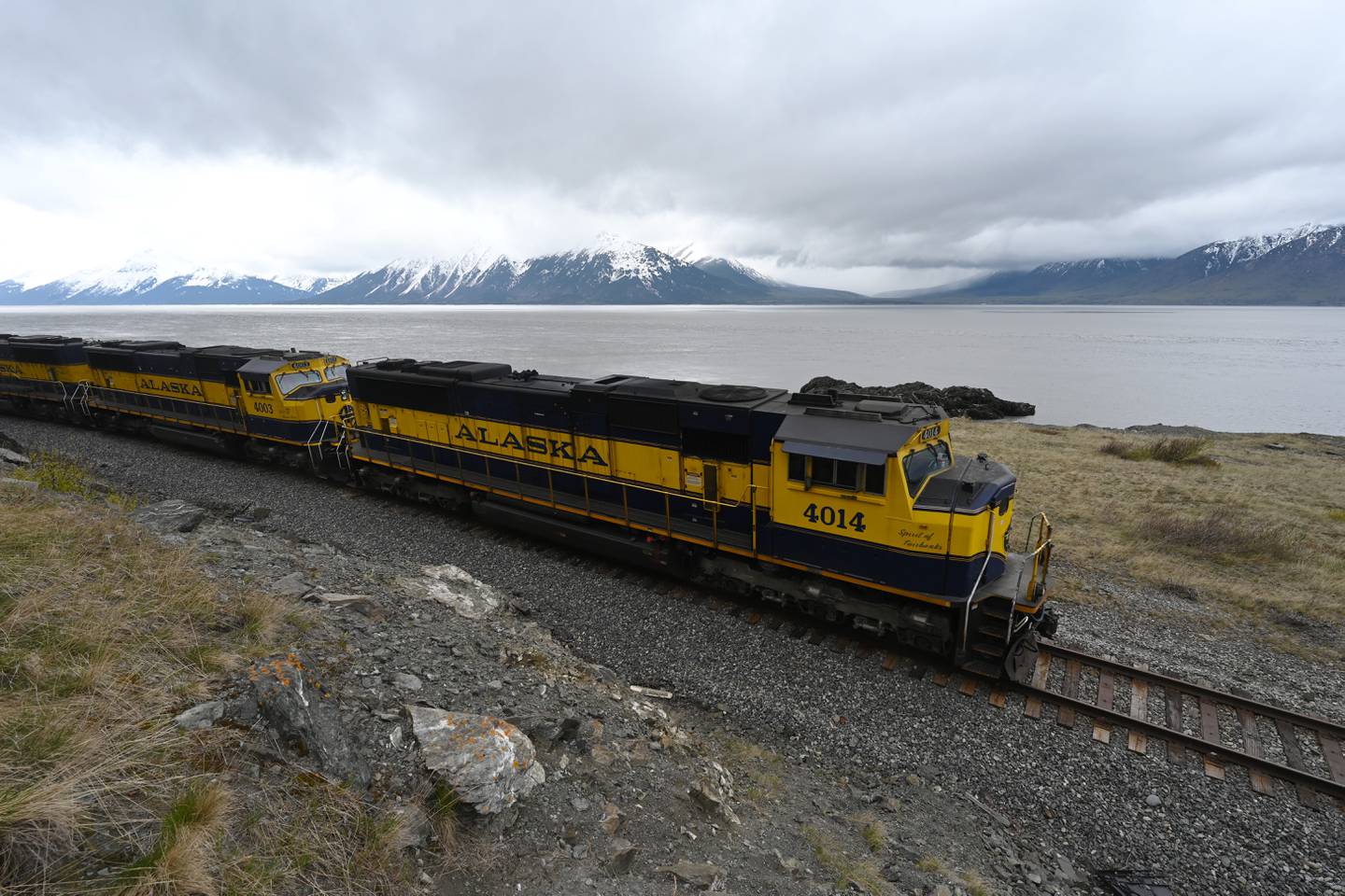 princess cruises train tour alaska railroad