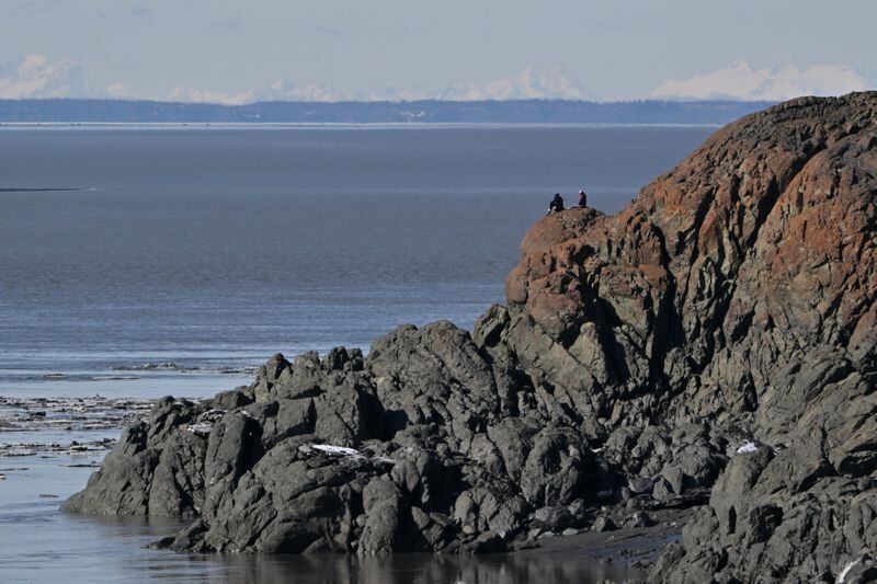People take in the view of Turnagain Arm from Beluga Point along the Seward High on Sunday, April 7, 2024. (Bill Roth / ADN)