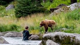 Bear-viewing congestion comes to a head in Haines