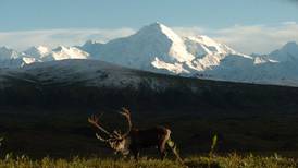 Denali National Park is 100, and ageless
