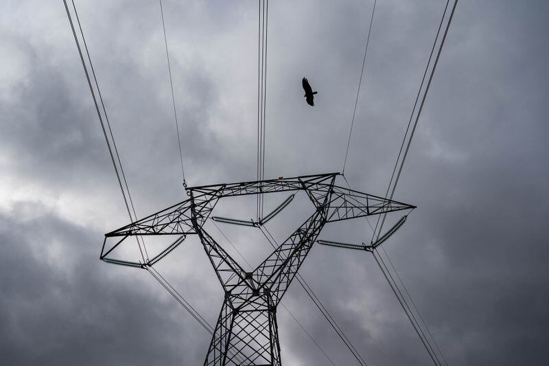 A bird flies near transmission lines in Charles Town, W.Va. (Salwan Georges/The Washington Post)