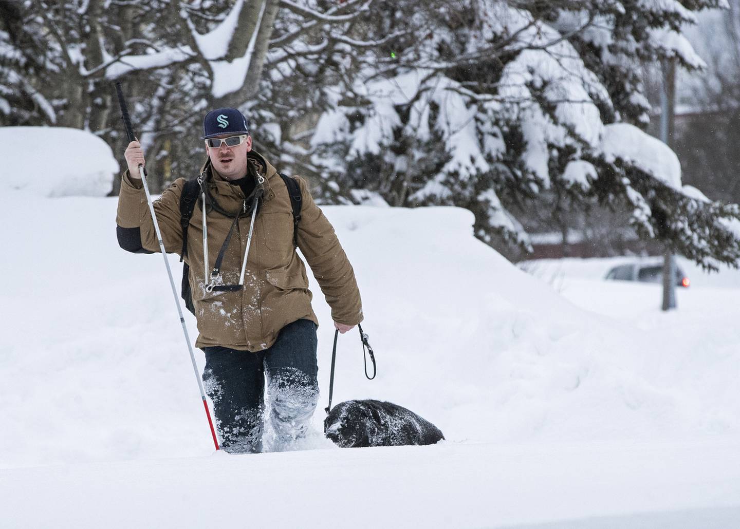 december, cold, snow, winter, snow storm, winter walking, pedestrians, guide dog