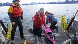 An ocean first: Underwater drone tracks CO2 in Gulf of Alaska