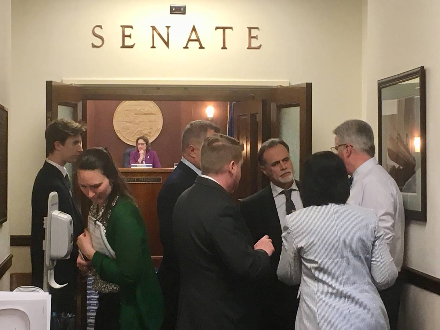 Senate budget debates