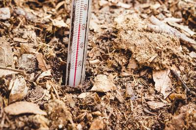 Follow ground temperature, not the calendar, to determine when to plant