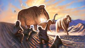 New discoveries on the ancient trail of a woolly mammoth