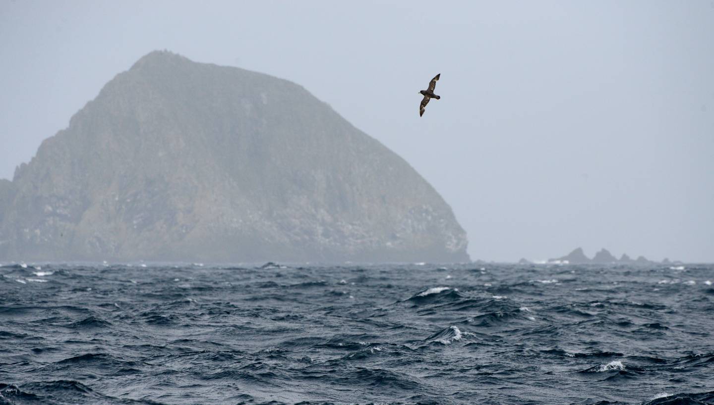 US Fish and Wildlife Service, Research boat R/V Tiglax, Adak Island, Aleutian Islands