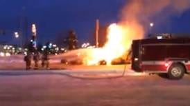 Christmas trees go up in flames at Carrs store
