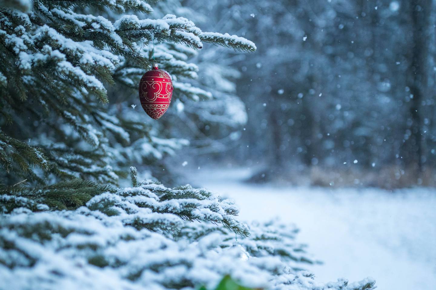 Christmas, christmas ornament, lyn ary, lyn ary park, snow, snowing, winter, xmas