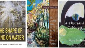 Give thanks for poetry with three new collections