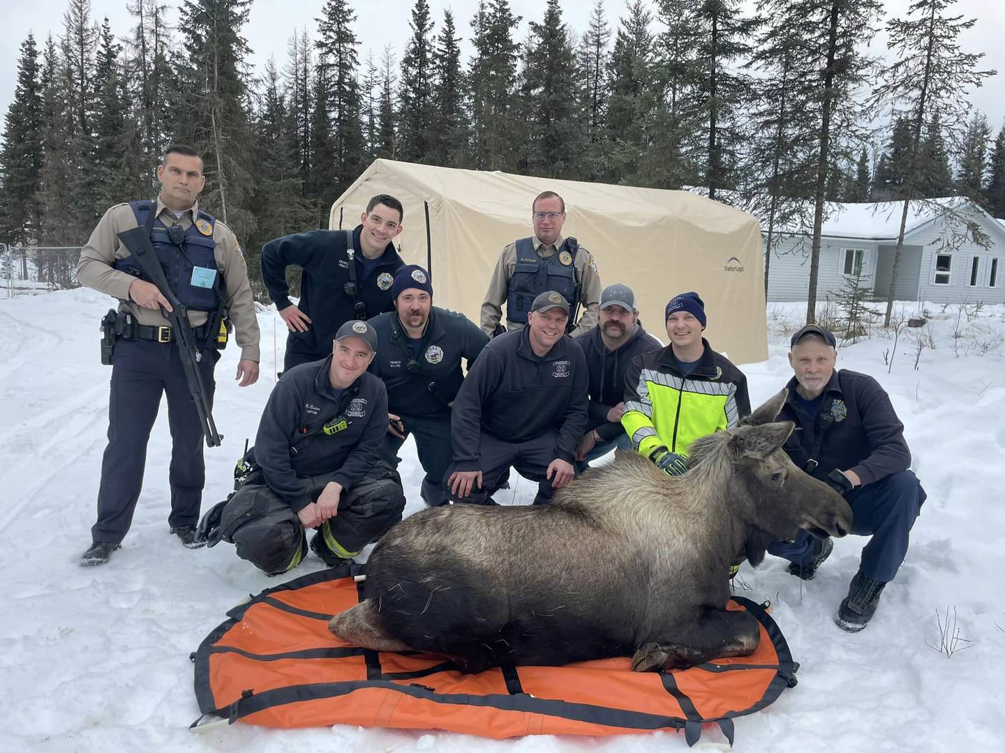 Soldotna moose rescue, emergency responders