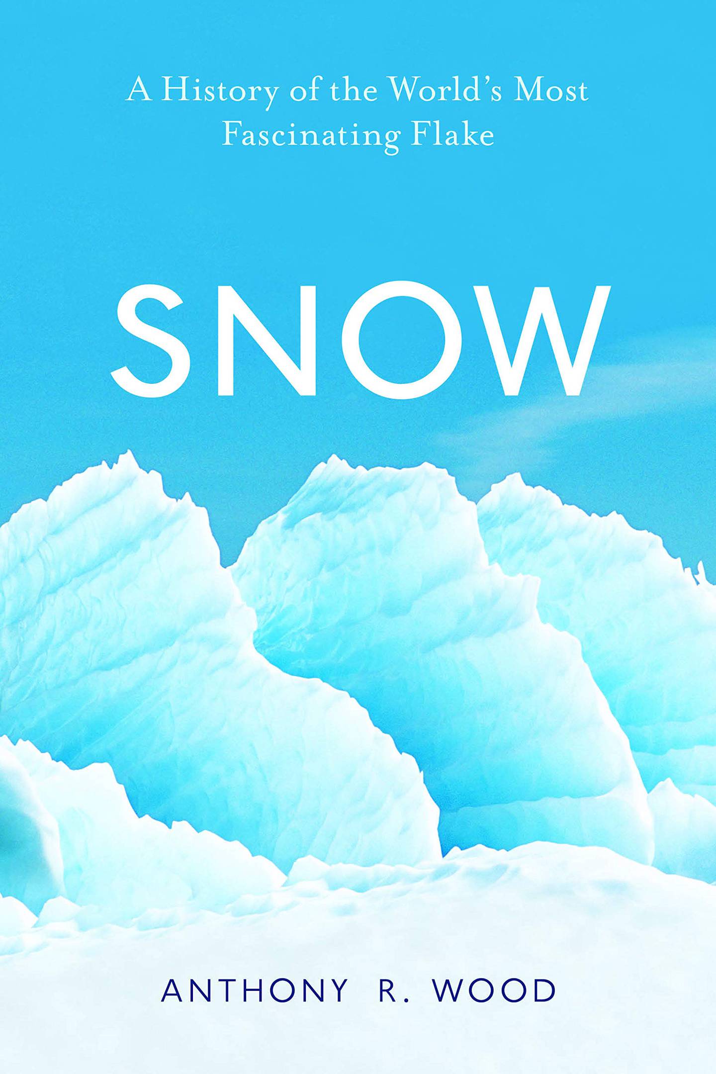 Book review cover Snow Anthony Wood