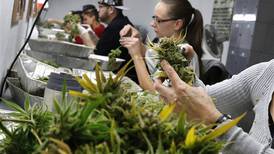 Supreme Court declines neighboring states' case challenging Colorado's pot laws