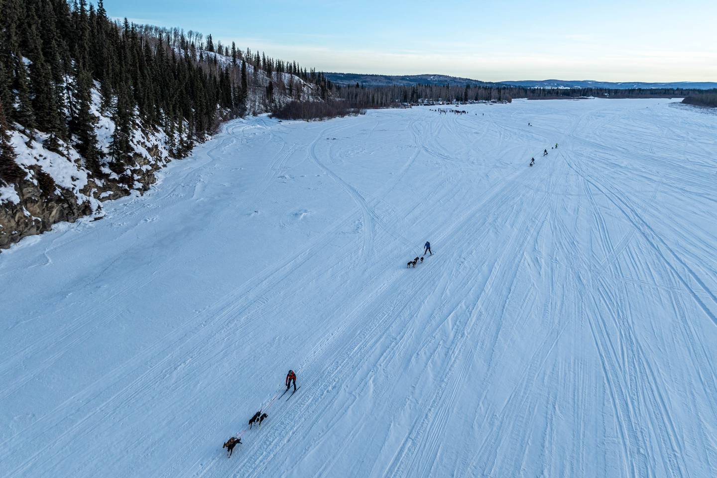 dog sled excursion alaska