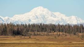 Slow down and take in Denali