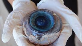 Mystery giant eyeball on Fla. beach may be squid's