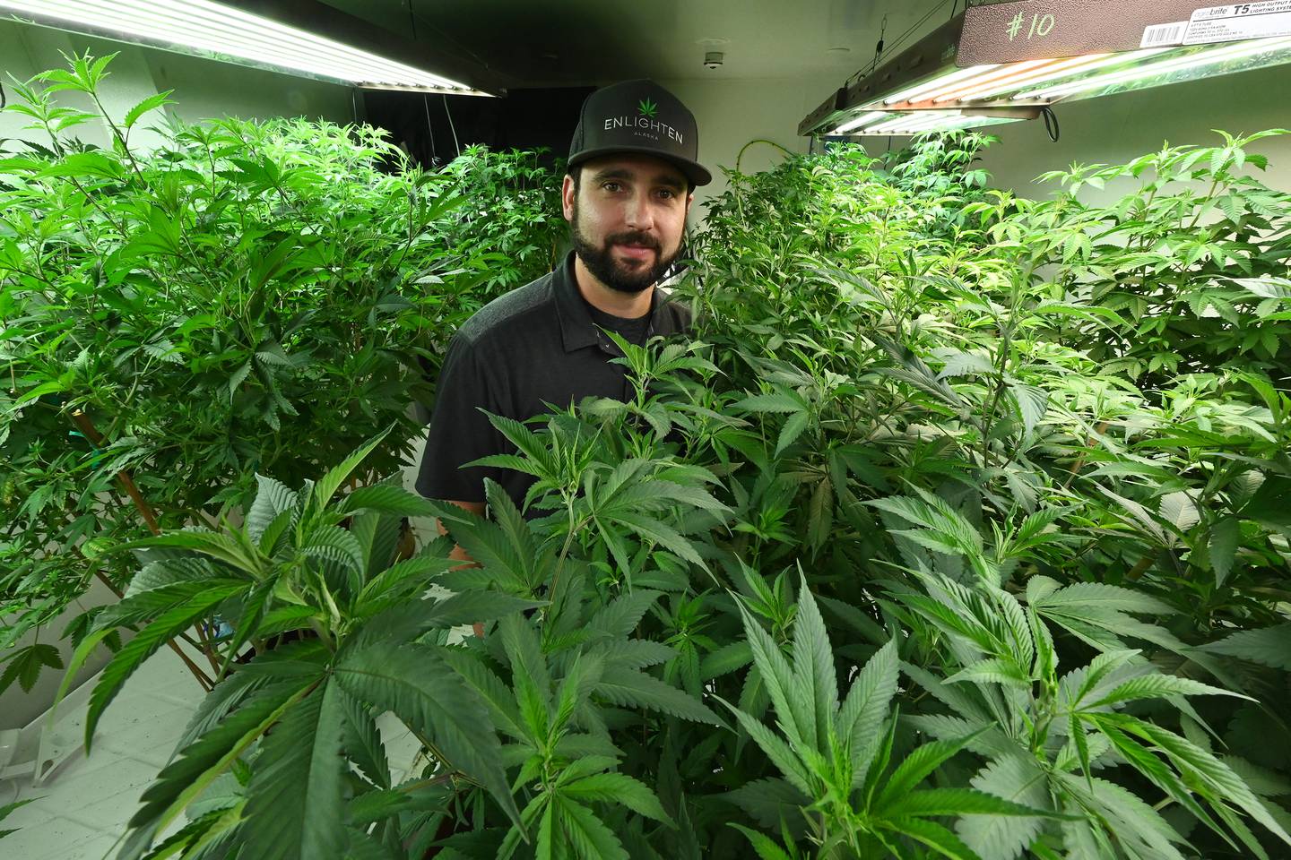 Enlighten Alaska cannabis cultivation facility 