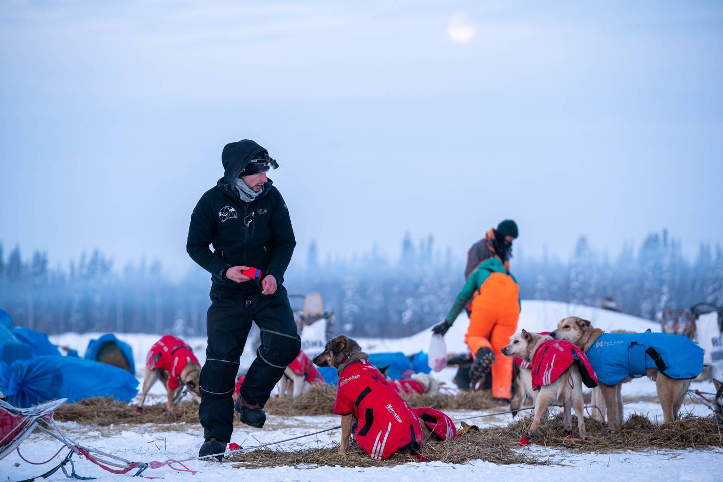 2020 Iditarod, Deke Naaktgeboren, Iditarod 2020, iditarod, nikolai