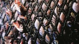 We need an Alaska-first majority on North Pacific fishery council
