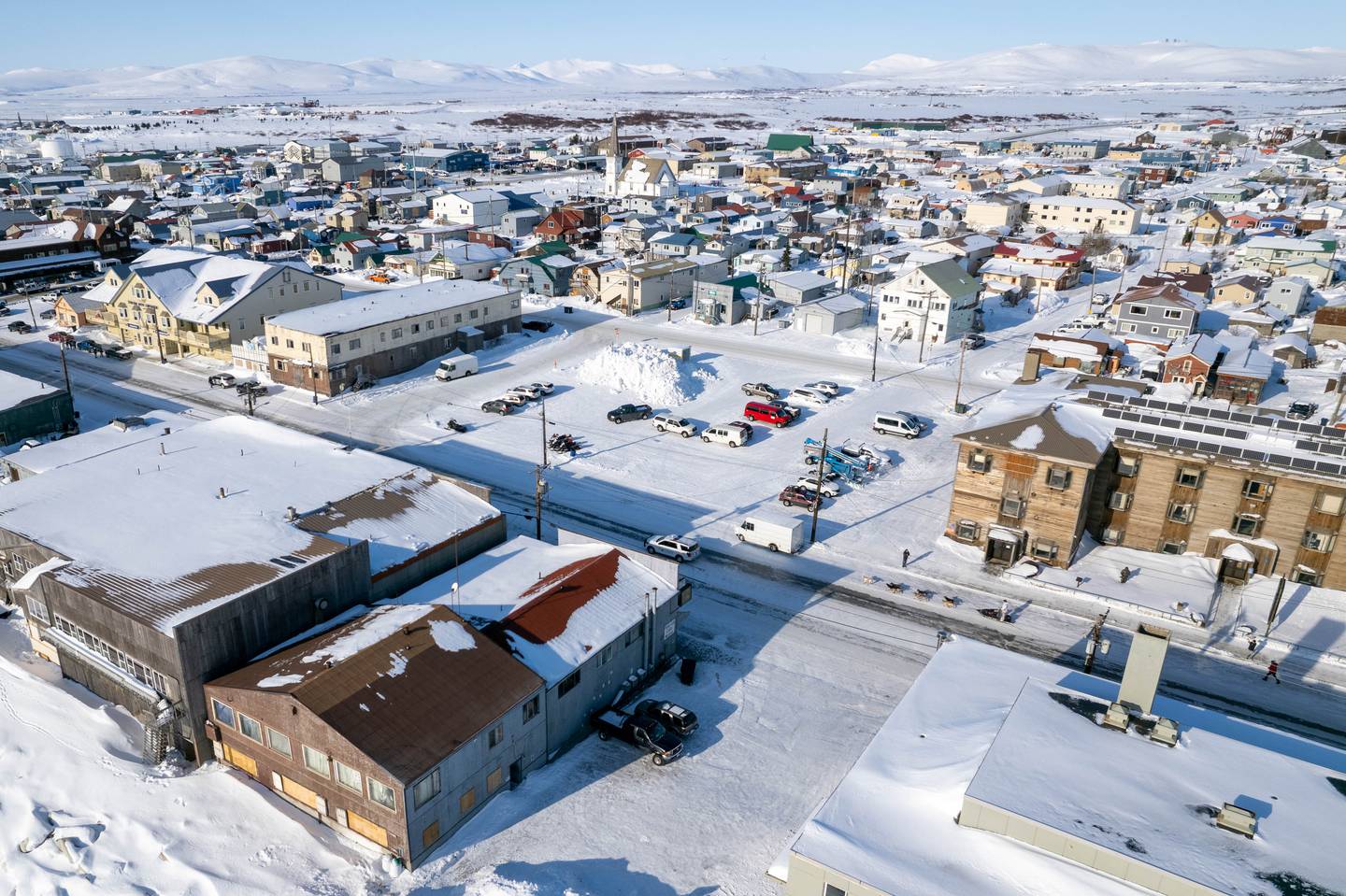 2023 Iditarod, Iditarod, Iditarod 2023, Matt Hall, Nome