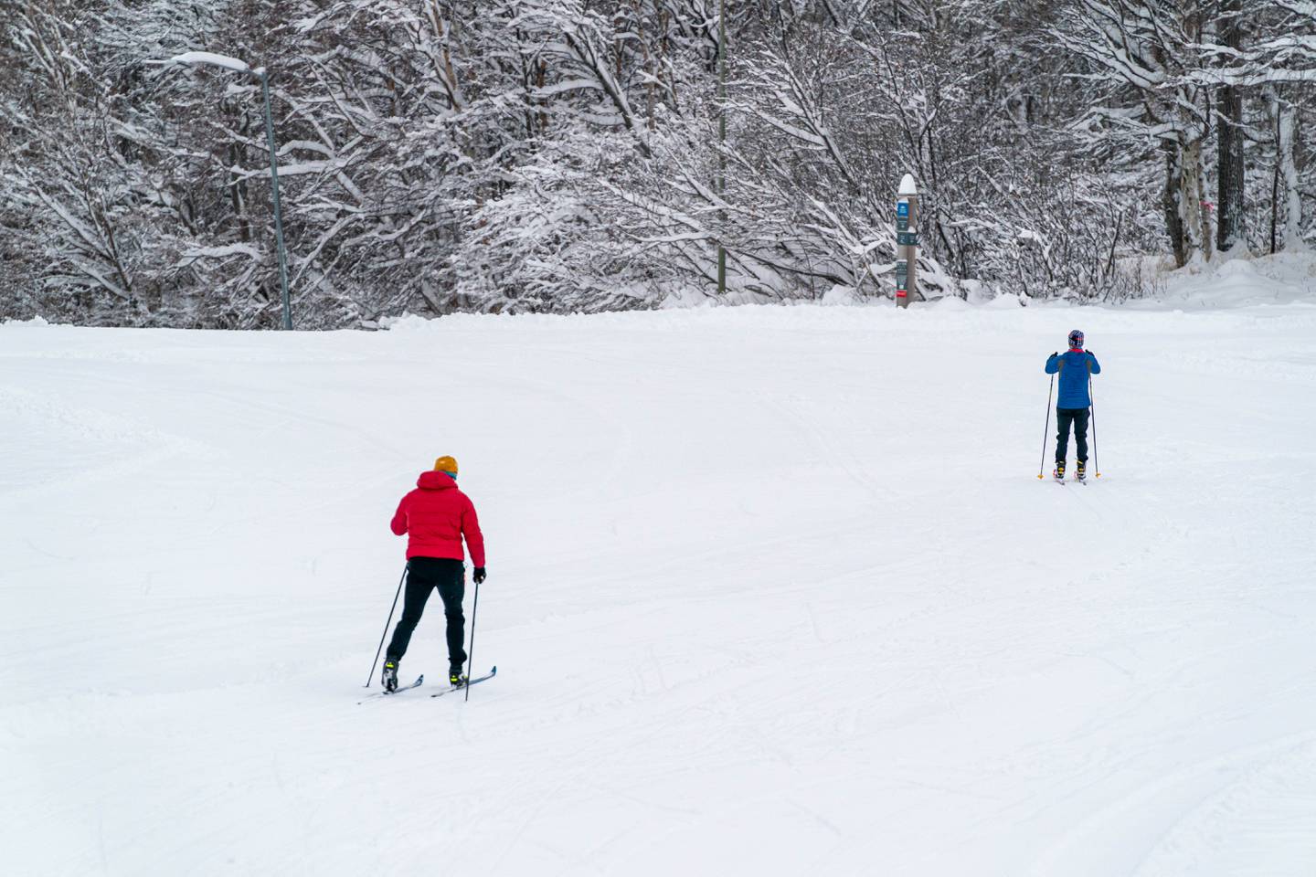 Kincaid Park, ski, skier, skiers, snow