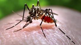 U.S. becomes more vulnerable to tropical diseases