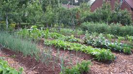 Why wait for frost to start harvesting your garden?