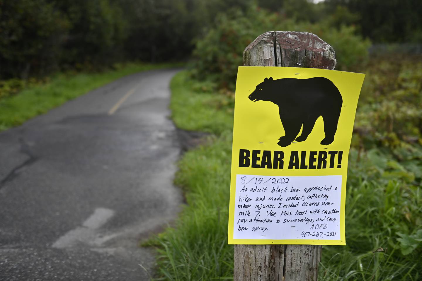 bear warning, Tony Knowles Coastal Trail, black bear