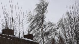 Lots of downed branches in your yard? Here’s what that might be telling you. 
