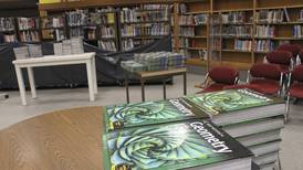 A new Mat-Su school district committee will review dozens of challenged library books. Some are already gone. 