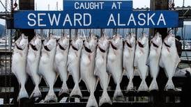 Fishing Report: Good halibut out of Seward, Homer and Whittier