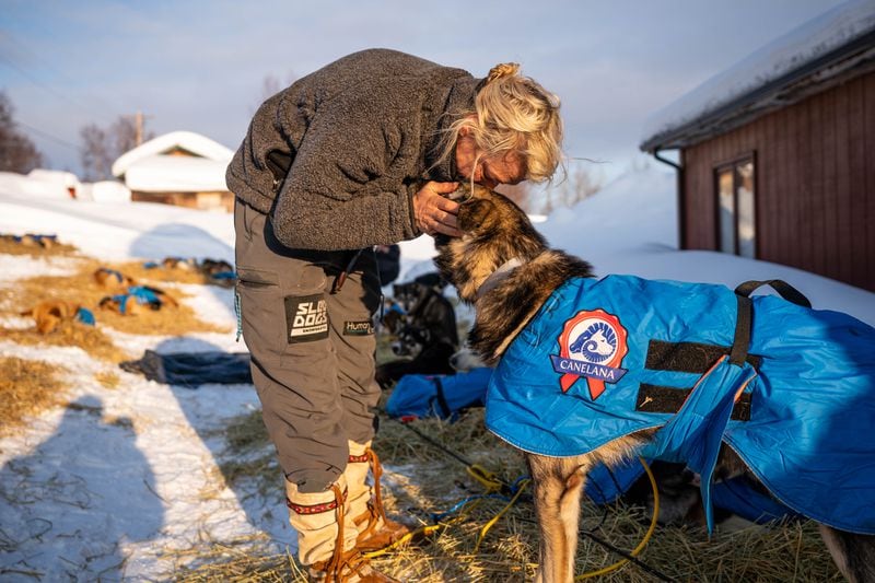 Mille Porsild kisses one of her dogs in Takotna on Wednesday, March 11, 2020 during the Iditarod Trail Sled Dog Race. (Loren Holmes / ADN)